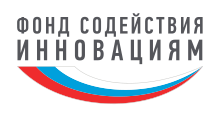 FSI Logo